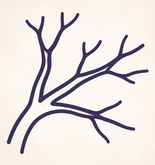 Vascular Care